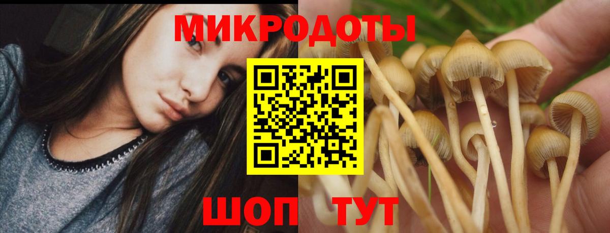 Псилоцибиновые грибы прущие грибы Людиново